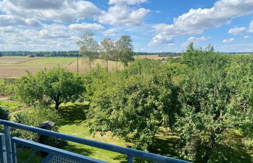 Ferienwohnung Taubertal Familie Arold - Photo 19