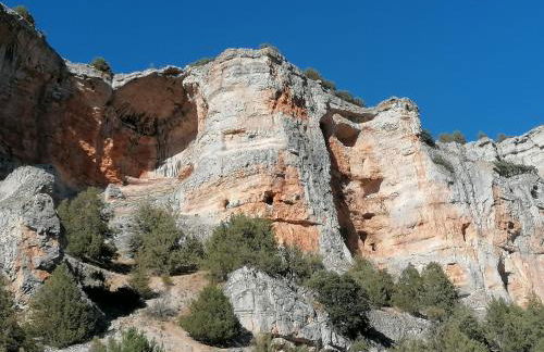 Anatiduero - Foto 28