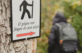 Country house 2 - Foto 4