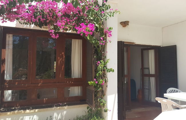 Pátio Beach House - Foto 30