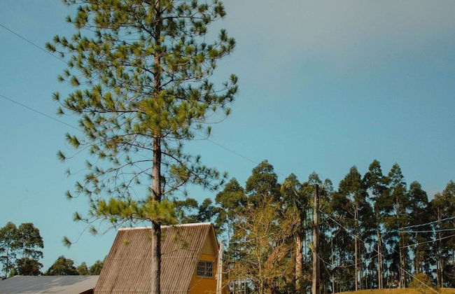 Chalé Sítio Corvo Branco - Photo 19