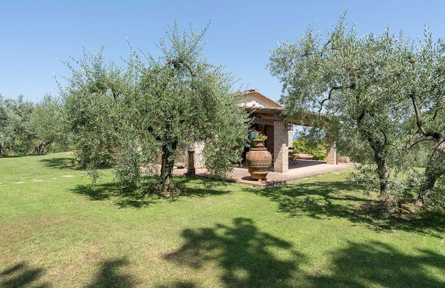 Fi-d895-gate0at - L Oliveta 6 - Foto 59