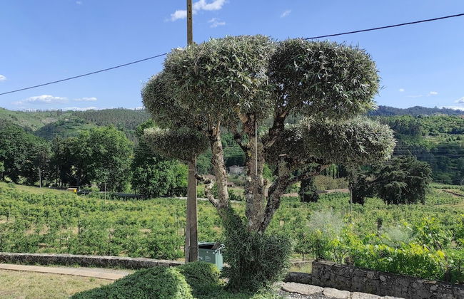 Casa da Escola - Foto 25