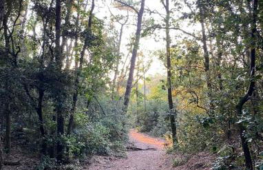 VILLA bord de mer 85 SPA de nage Les Conches - Photo 41