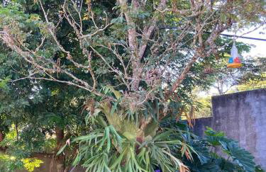 Sítio N#1 da Serra Perfeito para famílias com bebês e crianças Piscina aquecida e limpeza incluídos - Foto 32