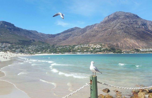Hout Bay Beach Cottage - Photo 41