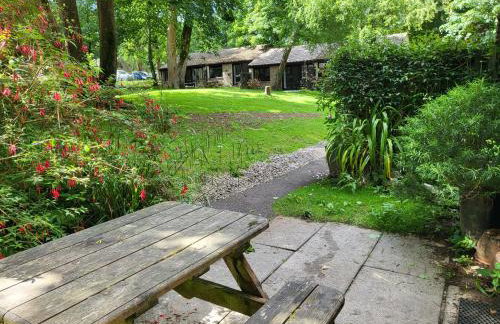 Bumbeldink - Foto 68