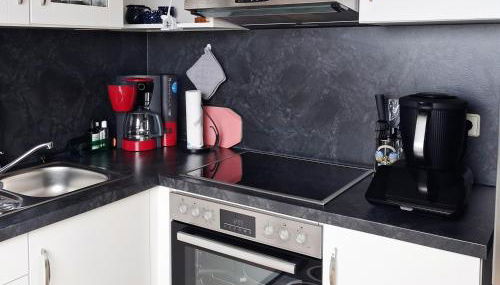 Ferienwohnnung Ruth - Familienurlaub im Erzgebirge - Foto 2, stove, dishwasher, toaster