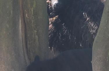 Les Cabanes de Warincthun - Foto 10