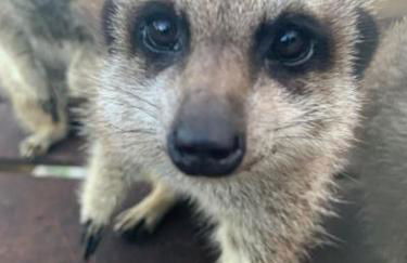 Wild Coastal Retreat at Troed Y Rhiw Aberporth, West Wales - Foto 35