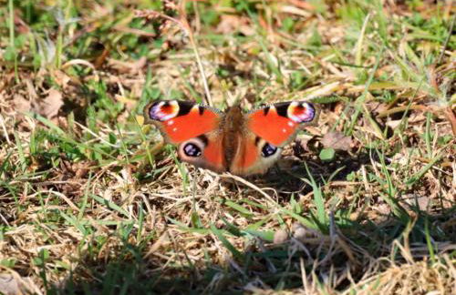 Haus der Behaglichkeit - Foto 23