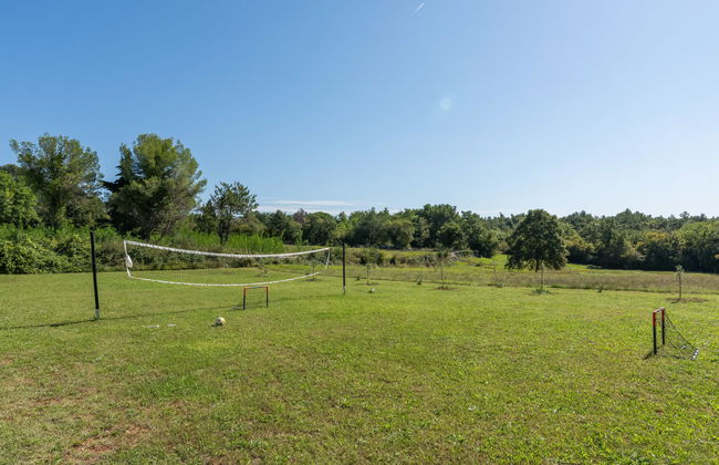 Marko Aurelia - Foto 36