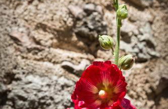 Appartamento Alvavista1 - Foto 15