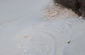 Apartamenty Morze Wygody - Foto 15