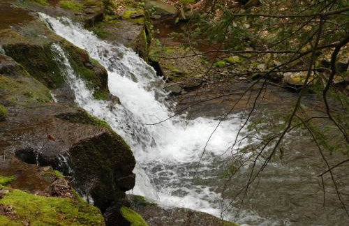 Catskill Mountain Retreat - Foto 59