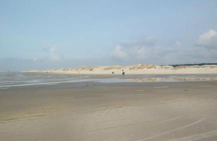 Nordsee 1 - Foto 24