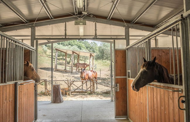 Agriturismo Goccia di Luna - Foto 58