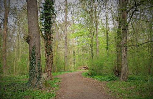 Ferienwohnungen am Waldbad Zwenkau - Foto 22