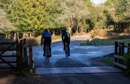 Beautiful 3 bed cottage in Lymington. Perfectly located for Coast and New Forest - Foto 34