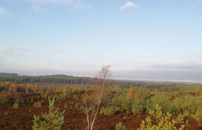 The Old Cook's House - Foto 7