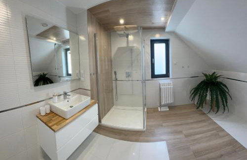 GrandBytyń House - Foto 48