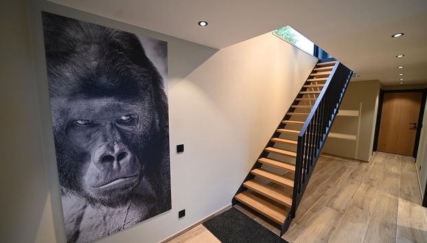 Luxury Home in Durbuy With Valley View & Pool - Foto 3, Receção