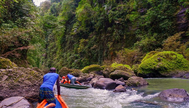 Discover landscapes filled with lush vegetation