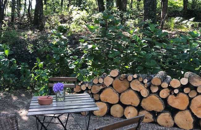 Barn House do Ecotourism Quinta Lamosa - Photo 15