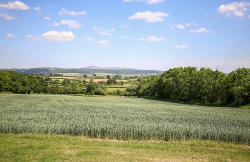 The Onibury - Foto 27