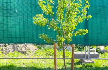 Villa Klitzeklein - Foto 8