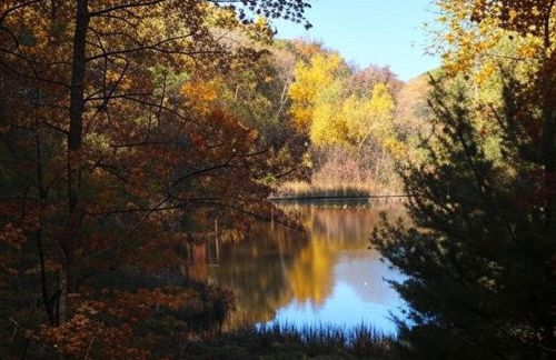 Alpine Joy-Hot Tub, Pond Access ,Cozy Cabin Retreat in the Smokies - Foto 34