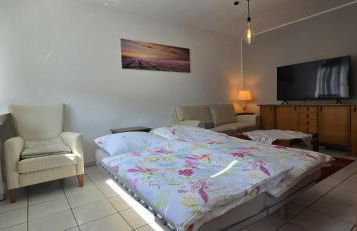 Vacation and business city apartment - Foto 2