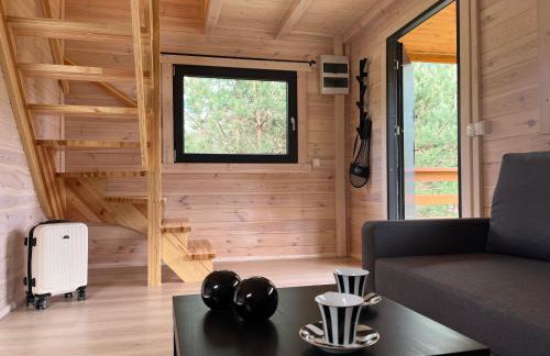 Domki Sosnowy Zakątek Swornegacie - Foto 23