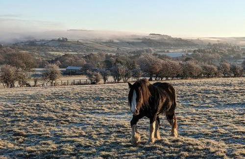 The Bothy at High Frost Hall - Foto 13