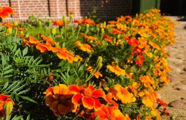 Ceglany Domek w Gryżynie - Foto 6