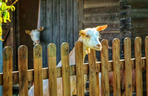 Agriturismo Helianthus - Foto 47