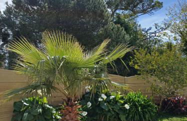 Maison tout confort au calme à 300m de la mer et du GR34 avec jardin - Foto 5