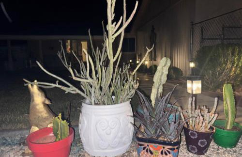 Some Tuesday Ranch - Foto 57