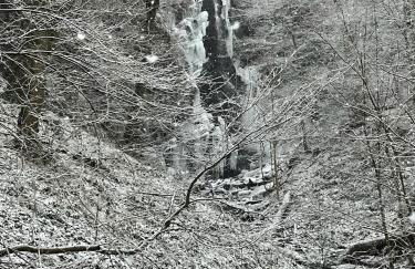 Alte Schüre - Foto 24