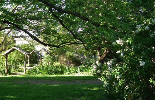 Taradale House Estate - Foto 67