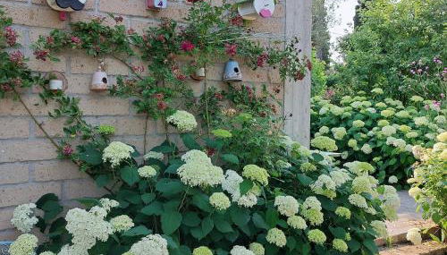 Orto delle Fate - Foto 3, Garden