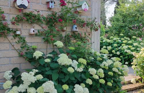 Orto delle Fate - Foto 3