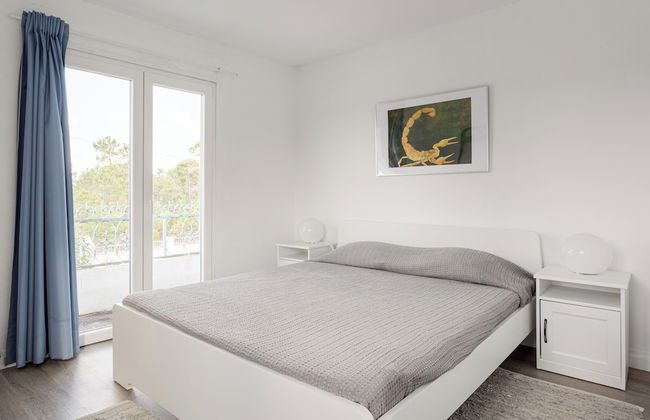 Pinhal da Praia em Melides - Foto 5