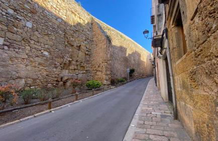 Tarraco Ruiseñor - Foto 40