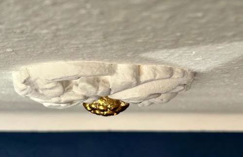 #Stadtspeicher - Blauer Stern das Apartment mitten in der Altstadt - Foto 27