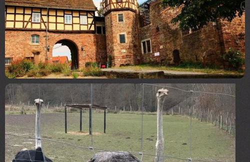 Weserloft zum Skywalk - Foto 8