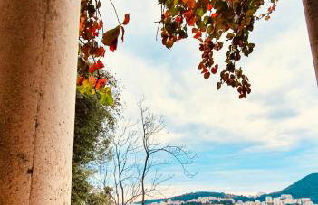 Dalmatian House, spacious stone terraces, balcony , views - Foto 41