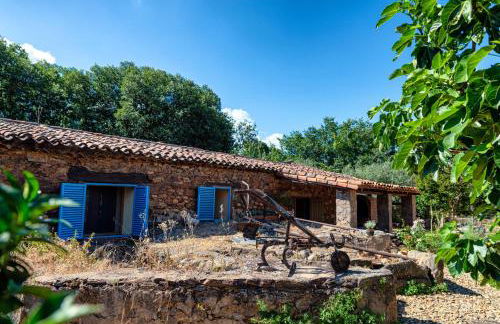 Finca MOLINO DE JARANDA - Foto 21