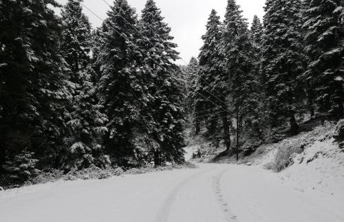 Xenonas Kypseli - Foto 71