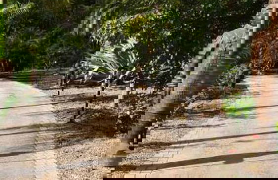 Casa Chica Villas Cruz Mayor - Foto 22